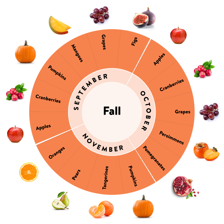 Fresh fruit guide for the best September, October, November fruits